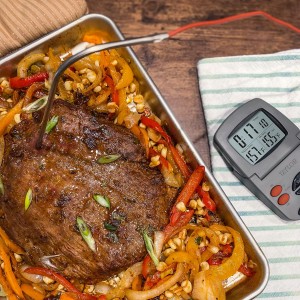 Taylor Programmable with Timer Instant Read Wired Probe Digital, Meat, Food, Grill BBQ Cooking Kitchen Thermometer with Timer, Gray