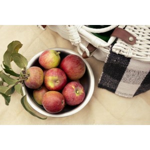 Fox Run Stainless Steel Small Mixing Bowl, 7.25 x 7.25 x 3.75 inches, Metallic