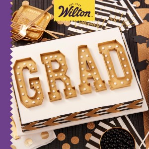 Wilton 11 x 15 Inch Aluminum Baking Sheet Pan, 2-Inch Deep Cake Pan, Even Heating, Rust-Resistant, Professional Quality, Packaging May Vary