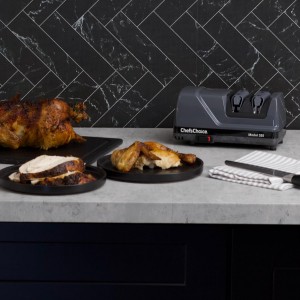 Chef'sChoice Professional Electric Knife Sharpeners Sharp-N-Hone With 100-Percent Diamond Abrasives And Precision Angle Guides For 20-Degree Straight-Edge and Serrated Knives, 2-Stage, Gray