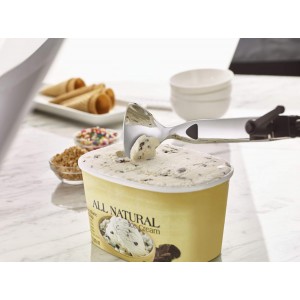 Copco Ice Cream Scoop - Stainless steel