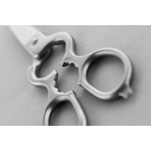 WÜSTHOF Stainless Kitchen Shears