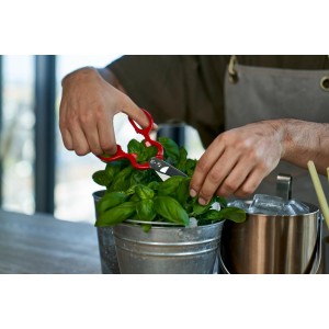 Zwilling J.A. Henckels Classic cuisine shears black 43927-200 43927-200