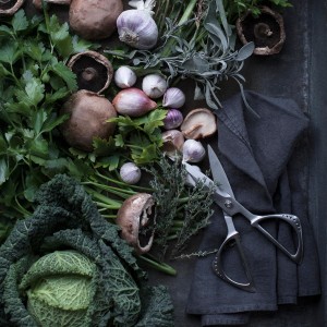 Global cutlery-shears, Stainless