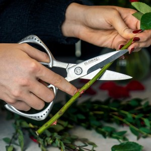 Global cutlery-shears, Stainless