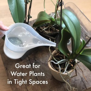 Fox Run Easy Pour Measuring Cup with Funnel Spout, 3.5, Clear Plastic