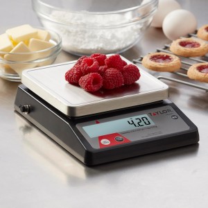 Taylor Compact Digital Portion Control Scale, Food Scale for Precise Weight Measuring and Portion Control, Tare and Hold Function, NSF, 32OZ, Stainless Steel Platform