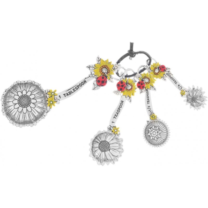 Ganz 4-Piece Measuring Spoon Set with Color, Ladybugs Silver