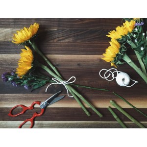 ZWILLING Forged Multi-Purpose Kitchen Shears - Red Handle