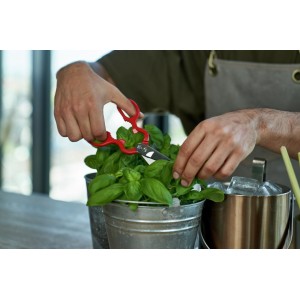 ZWILLING Forged Multi-Purpose Kitchen Shears - Red Handle