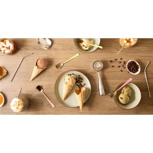 RSVP International Ice Cream Tool Collection, Dishwasher Safe, Large Handle, Scoop