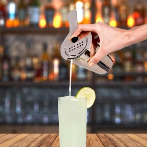 HIC Bar Cocktail Hawthorne Strainer, 18/8 Stainless Steel