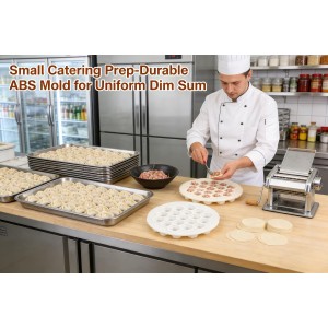 Dumpling & Ravioli Maker Mold - Create 19 Perfect Bite-Size Dumplings at Once, Dishwasher Safe ABS
