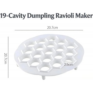 Dumpling & Ravioli Maker Mold - Create 19 Perfect Bite-Size Dumplings at Once, Dishwasher Safe ABS