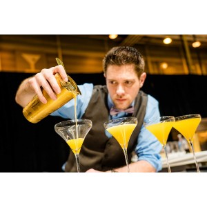 Barfly Heavy Duty Spring Bar Strainer, Gold Plated