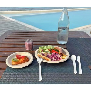 GreenWorks 200 Count Heavy-duty Compostable Forks, BPI Certified Large Disposable Cutlery Flatware Utensils Fork