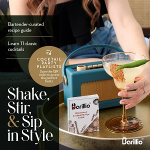 Barillio Black Bartender Kit - Stainless-Steel Cocktail Shaker Set w/Bamboo Stand - Mixology Bar Tools w/Drink Shaker, Mixer Spoon & Muddler for Cocktails - Home Bar Accessories - 23-Pc Bar Set