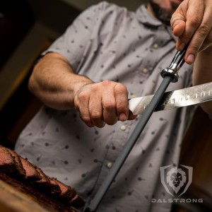 Dalstrong Honing Rod - 10 inch - G10 Handle - Stainless Steel Core - Scratch-Free Ceramic Coating - Kitchen Knife Sharpener Chef Knife Polish - Professional Honing Steel - Sharpening Rod