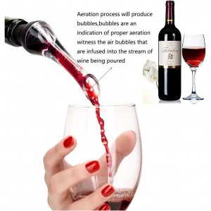 Wine Aerator Pourer Woodpecker Pourer Aerating Non Drip Spout Wine Accessory with Case