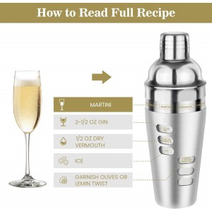 Cocktail Shaker Martini Shaker Set with Recipe, 24 oz Martini Shaker Drink Shaker Drink Mixer Stainless Steel Cocktail Shaker Set Bartender Kit