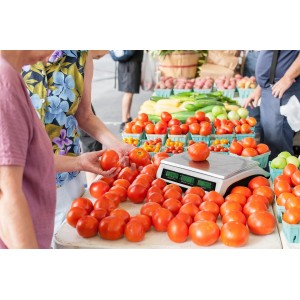 Price Computing Scale, 66lb Digital Commercial Food Meat Produce Weighing Scale with Green Backlight LCD for Farmers Market, Retail Outlets, Dry Battery Powered, Not for Trade