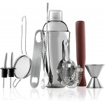 FineDine 10-Piece Cocktail Shaker Set with Travel Bag - Stainless Steel Shaker Set Bartender Kit - Mixology Bartender Kit - Strainer, Muddler, Jigger, Bar Spoon, Bottle Opener, Pour Spouts - Bar Set