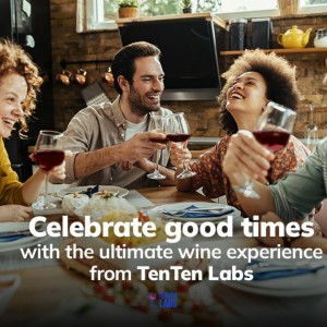 TenTen Labs Premium Wine Aerator Pourer and Wine Pump Stopper (2-pack) - Bottle Stopper - Gift Box Included