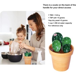 5 Pieces Measuring Spoons Set/Ceramics Spoons and Measuring Base Cup/for Dry and Liquid Ingredient, Cute Cactus Shape (Solid color base)