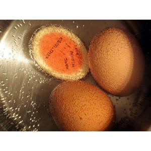 Iconikal Egg Timer 2-Pack, BPA Free Color Changing for Soft or Hard Boiled Eggs