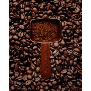 Moccamaster Coffee Measuring Spoon, 88103, Brown