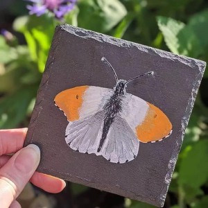 MONKEY SUN 24 Pack 4 x 4 Inch Gorgeous Black Slate Stone Coasters Bulk Square Coaster for Laser Engraving,Painting,Drink Bar Kitchen Home,DIY Handmade Natural Rough Edge,Set of 24