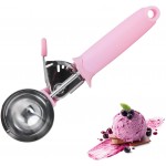 Ice Cream Scoop, Cookie Fruit Scoop with Comfort Grip Handle, Stainless Steel Ice Cream Scoop with Trigger Lever(8.46 Inch)