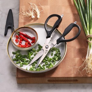 Cangshan 503343 9-inch Heavy-Duty Come-Apart Kitchen Shears with Guard