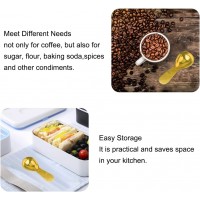 Stainless Steel Coffee Scoop Set - 15ml & 30ml Measures, Milk & Fruit Powder, Gold, 2 Pack