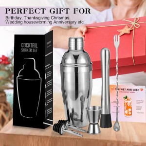 Cocktail Shaker Set, 6-Piece 18/8 Food-Grade Stainless Steel Mixology Bartender Kit - Premium Bar Tools with Muddler, Jigger, Spoon & Pourers - Rust-Proof, Leak-Proof & Dishwasher Safe Gift for Men
