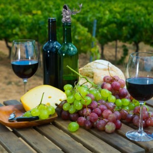 Elk Head Wine Pourer, Deer Head Wine Pourer Bottle Tipping Nozzle Vintage Bottle Stopper for Christmas Party