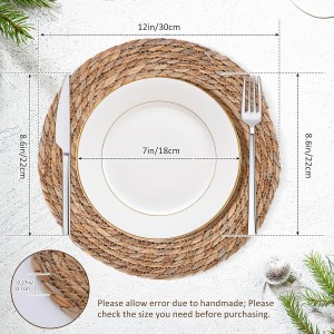 Defined Deco Woven Placemats Set of 10,12