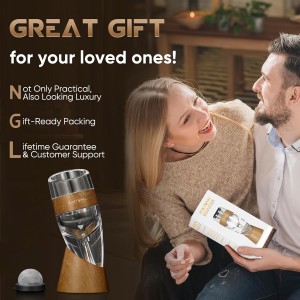 Wine Aerator Decanter Pourer with Strainer for Sediment Stand Travel Bag Diffuser Airarator Filter Aireators Pour Airrater for Red and White Wine Christmas Idea Gifts