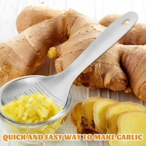 Stainless Steel Garlic Ginger Spoon Fruit Root Vegetable Grater Press Garlic Crusher Mincer Cutter Lemon Zester for Cheese Chocolate Baby Food Tool