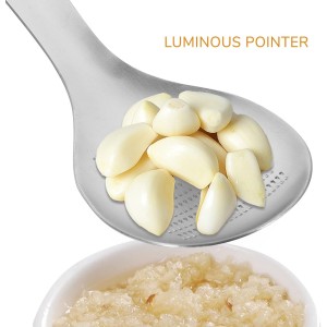 Stainless Steel Garlic Ginger Spoon Fruit Root Vegetable Grater Press Garlic Crusher Mincer Cutter Lemon Zester for Cheese Chocolate Baby Food Tool