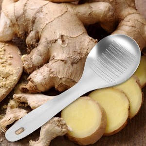 Stainless Steel Garlic Ginger Spoon Fruit Root Vegetable Grater Press Garlic Crusher Mincer Cutter Lemon Zester for Cheese Chocolate Baby Food Tool