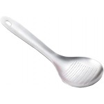 Stainless Steel Garlic Ginger Spoon Fruit Root Vegetable Grater Press Garlic Crusher Mincer Cutter Lemon Zester for Cheese Chocolate Baby Food Tool