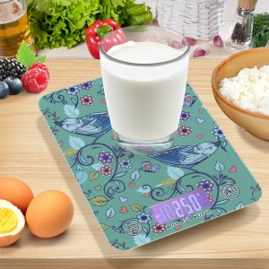 Food Scale Kitchen Digital Scale Food Ounces and Grams Dieting Baking Cooking Waterproof Glass Panels LCD Display,4 Units Scale Tare Function Bird