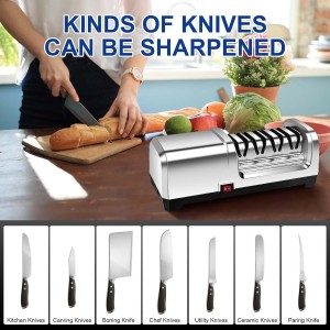 YBSVO 4-Stage Professional Electric Knife Sharpener - Heavy Duty Diamond Sharpening System for Straight & Serrated Knives - 20° Precision Angle Guides & Quiet Motor for Kitchen & Chef Use