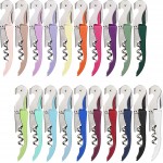 HYZ Wine Opener Bulk 20-Pack for Bartender, Professional Waiter Corkscrew Wine Key for Servers & Restaurant, Double Hinged Wine Bottle Opener with Foil Cutter, Commercial Bulk Set, (Multicolor)