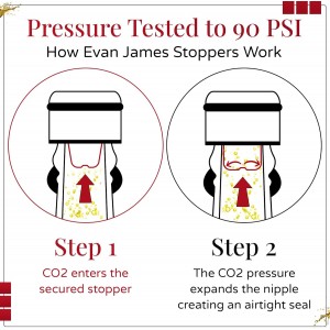 Wine Stopper & Champagne Stopper All In One - Patented Seal, Preserves Bubbles & Taste for Prosecco, White and Red Wines. 1 Pro Grade Evan James Bottle Stopper With Hanging Gift Box