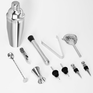 Bartender Kit, 11-Piece Cocktail Shaker Set with Bartender Travel Carrying Bag