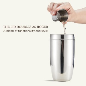 KITESSENSU Cocktail Shaker Set with Carry Case: Vacuum Insulated Martini Shaker with Built-in Strainer, 2 Martini Glasses, Measuring Jigger, Bar Mixing Spoon & Cocktail Recipes, Travel Bar Tool Set