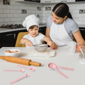 Stainless Steel Measuring Spoons Set of 5, Metal Measuring Cups and Spoons Set for Liquid/Food/Kitchen/Baking (Pink)