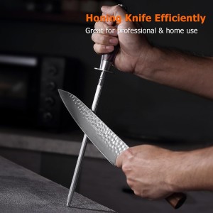 PAUDIN Honing Rod, Knife Sharpener Rod, 10 Inch Honing Steel, Professional Kitchen Knife Sharpener, High Carbon Knife Sharpening Steel with Ergonomic Pakkawood Handle for All Chef Knives